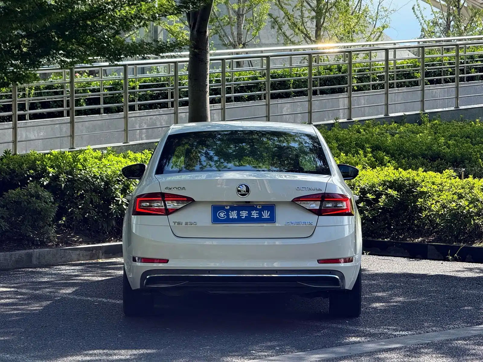 Фото 14 - Škoda Octavia