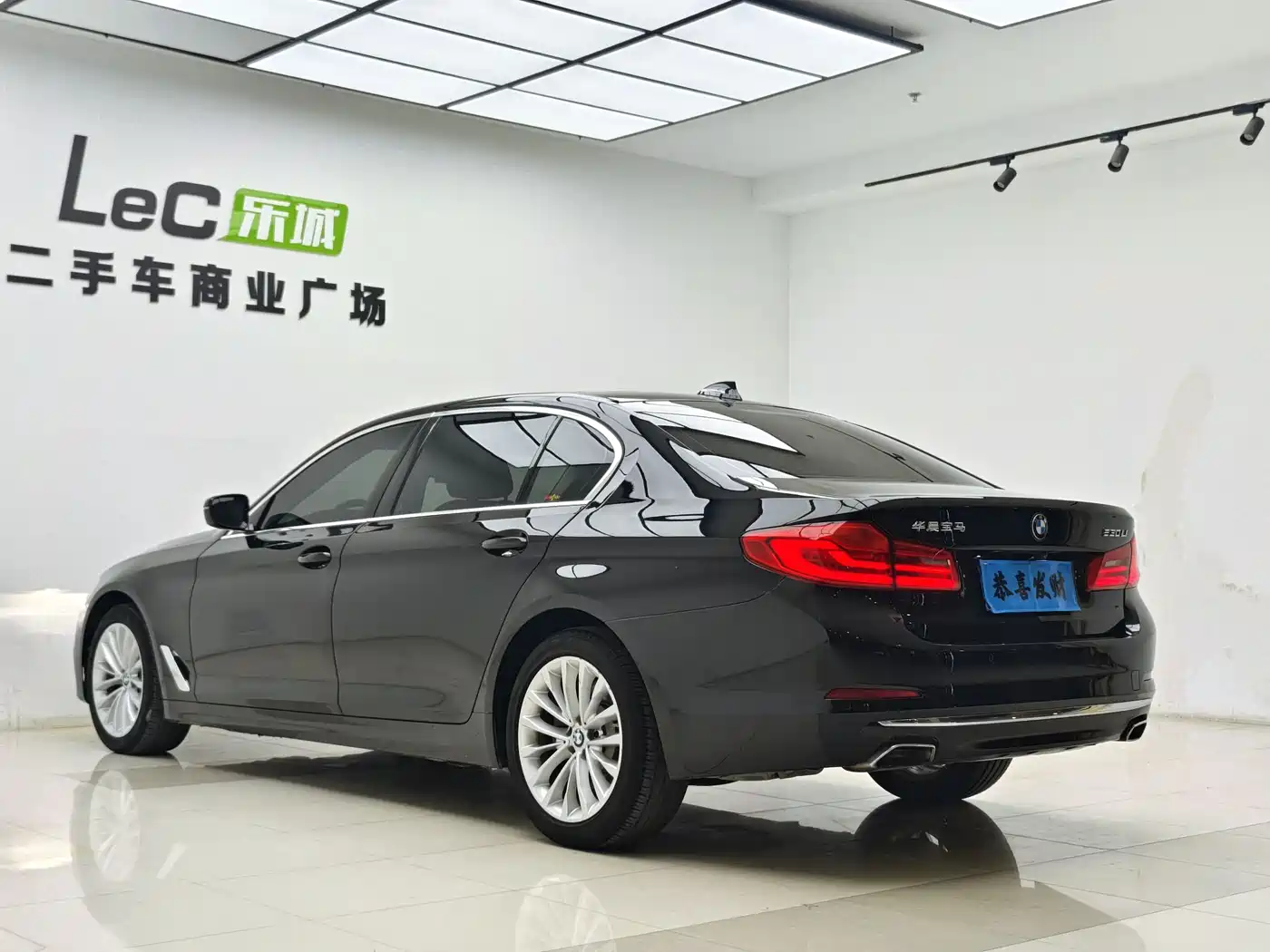 BMW 5 Series 2020 530Li Leading Luxury Package фото 13