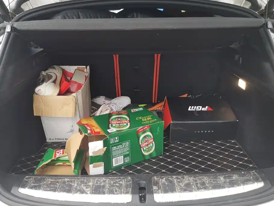 BMW X2 2020 2020 sDrive25i Leading M Sport Package