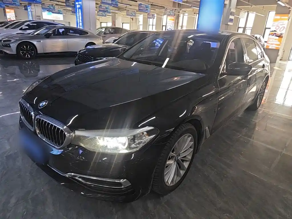 BMW 5 Series 2020 525Li Luxury Package фото 2