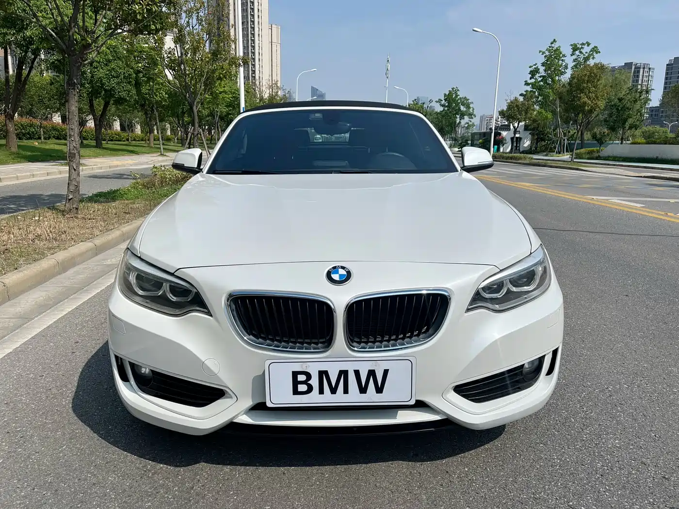 BMW 2 Series (Import) 2017 220i Convertible Coupe Leading фото 3