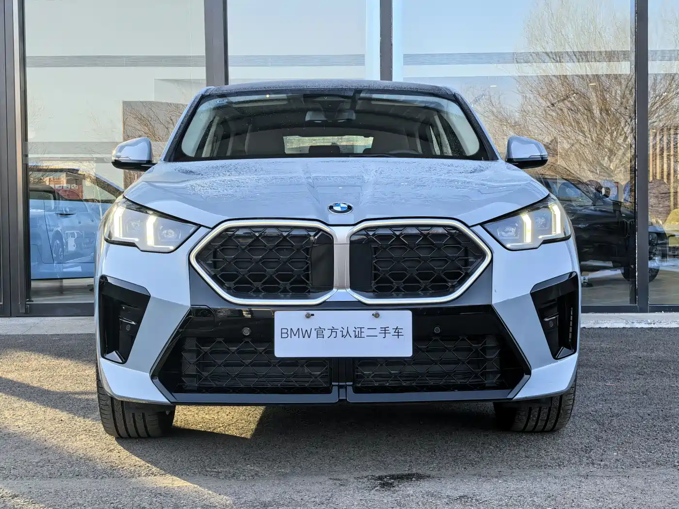 BMW X2 (Import) 2024 sDrive25i M Sport Package фото 2