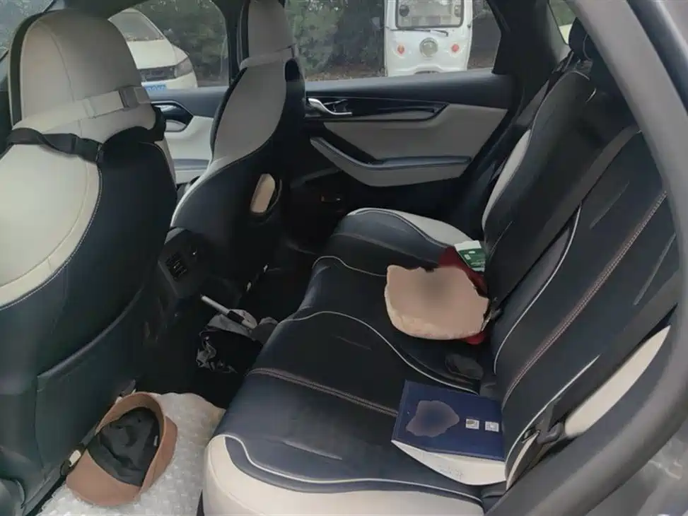 BYD Qin PLUS 2021 DM-i 55KM Flagship фото 15