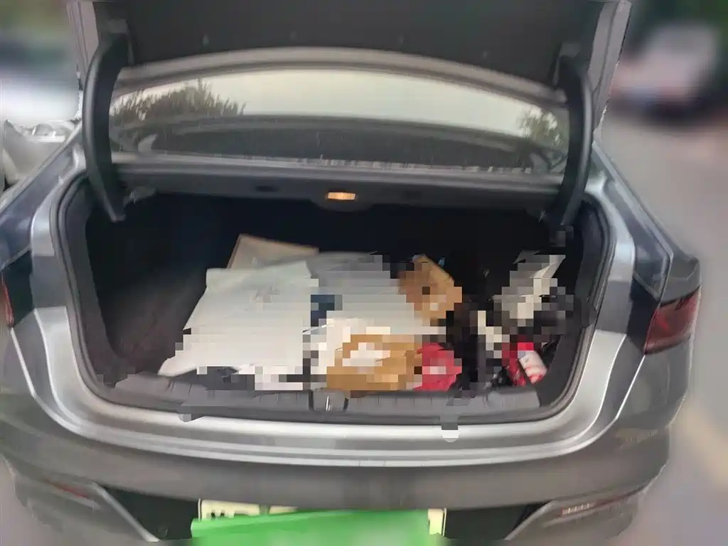 BYD Qin PLUS 2021 DM-i 55KM Flagship фото 10