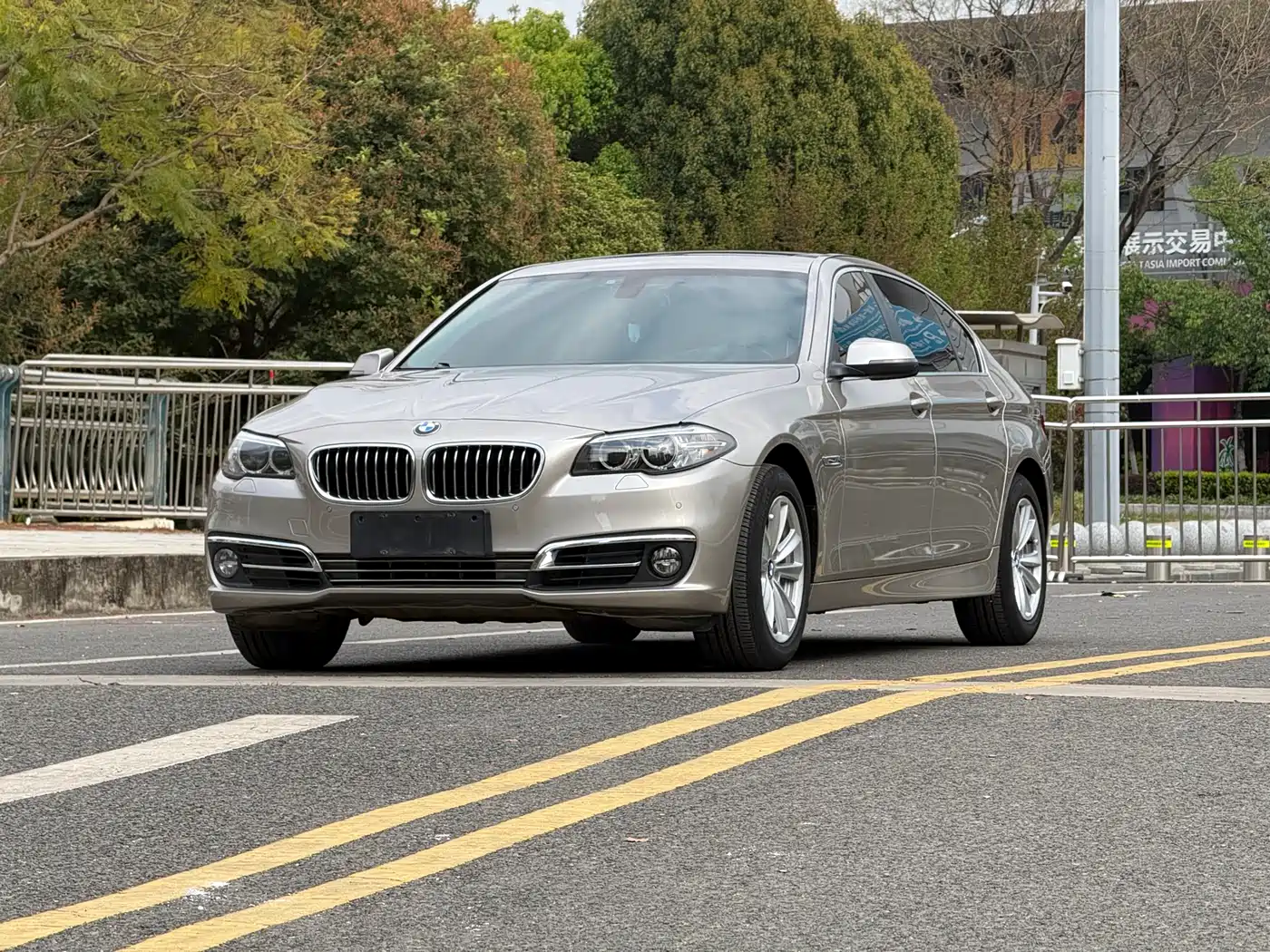 BMW 5 Series 2013 520Li Elegance