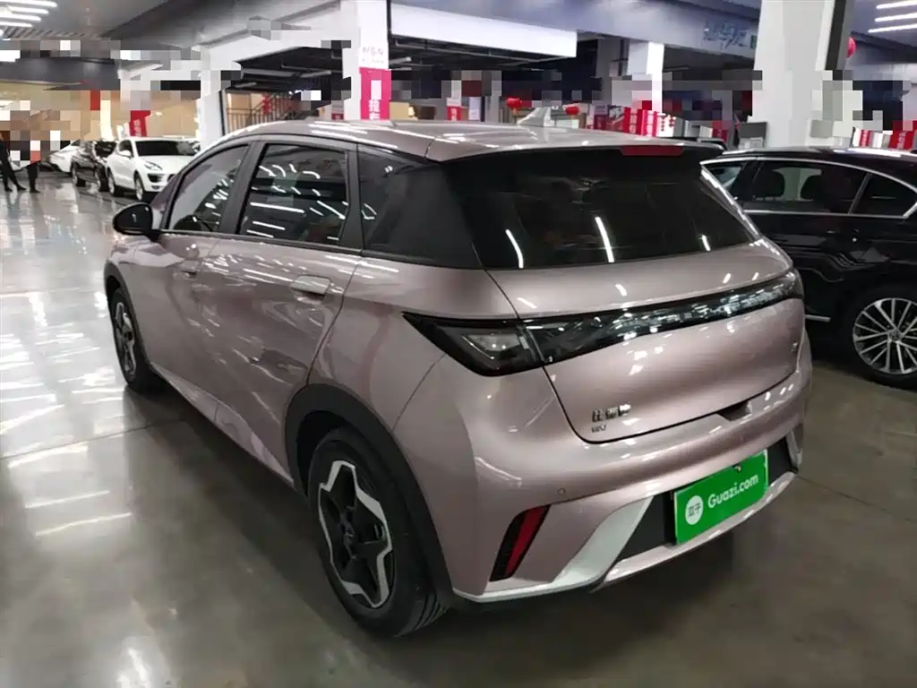 BYD Dolphin 2021 Model 405km Fashion Edition фото 23