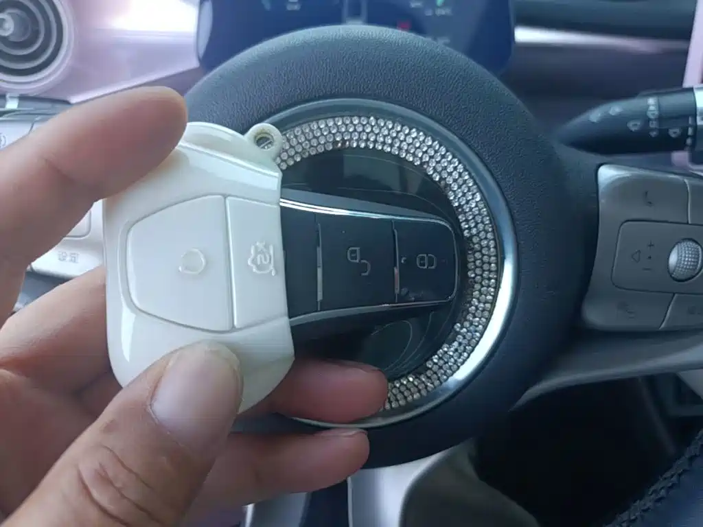 BYD Dolphin 2022 2021 Model 405km Fashion Edition