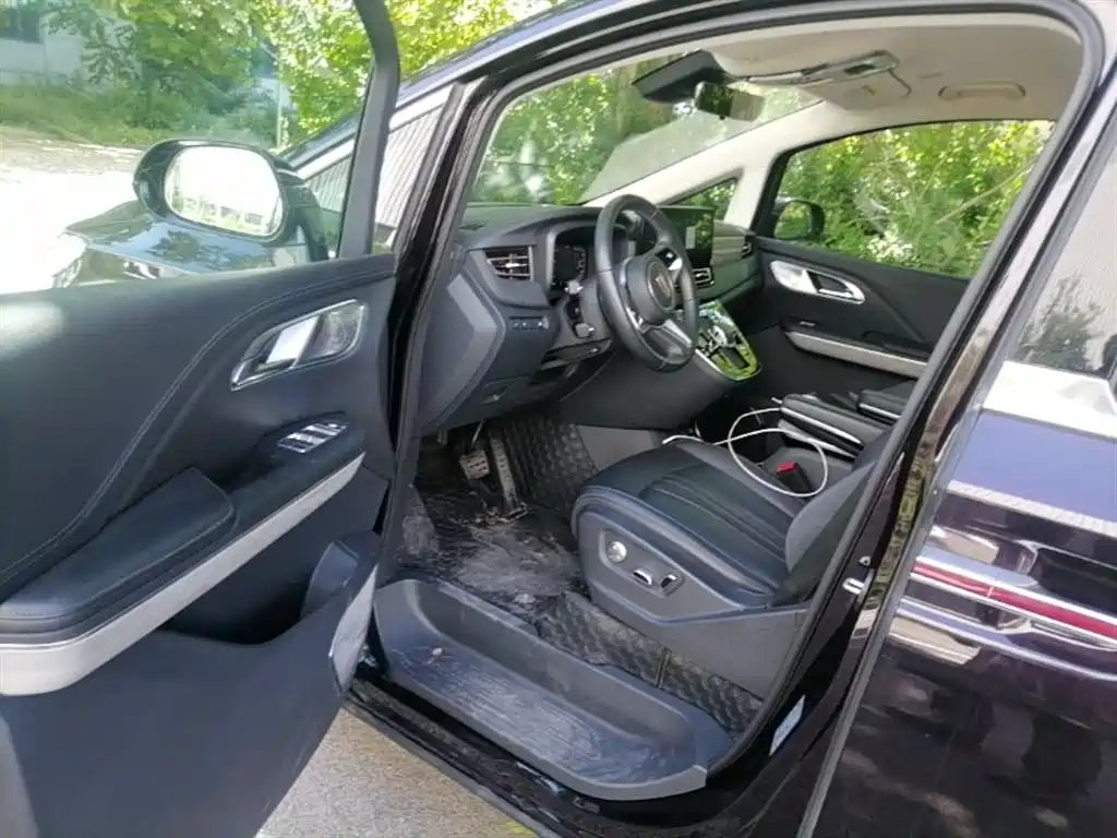 Hongqi HQ9 PHEV 2024 Model 2.0T AWD Business Edition фото 13