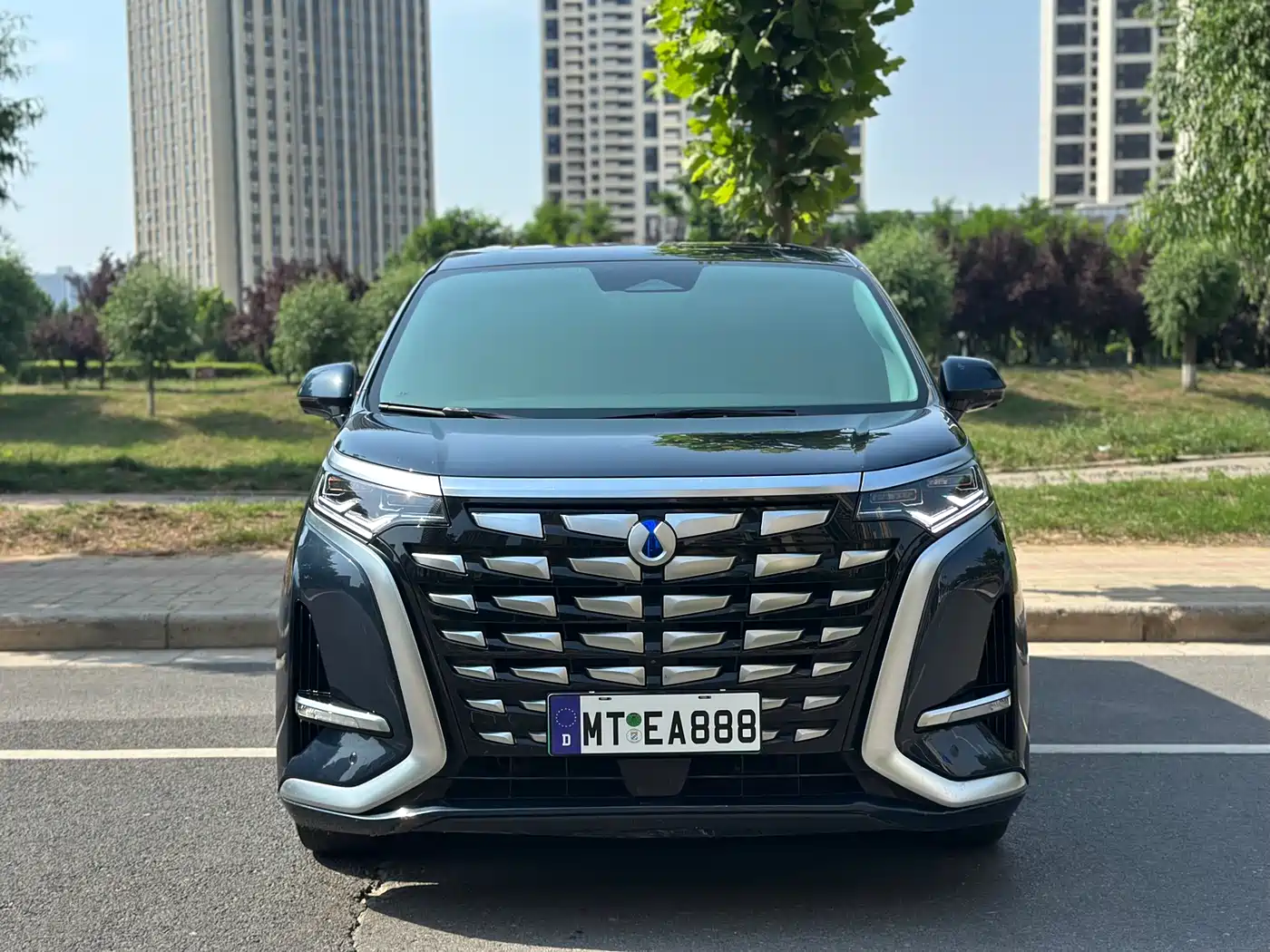 Denza D9 2024 DM-i 980 AWD Premium фото 2