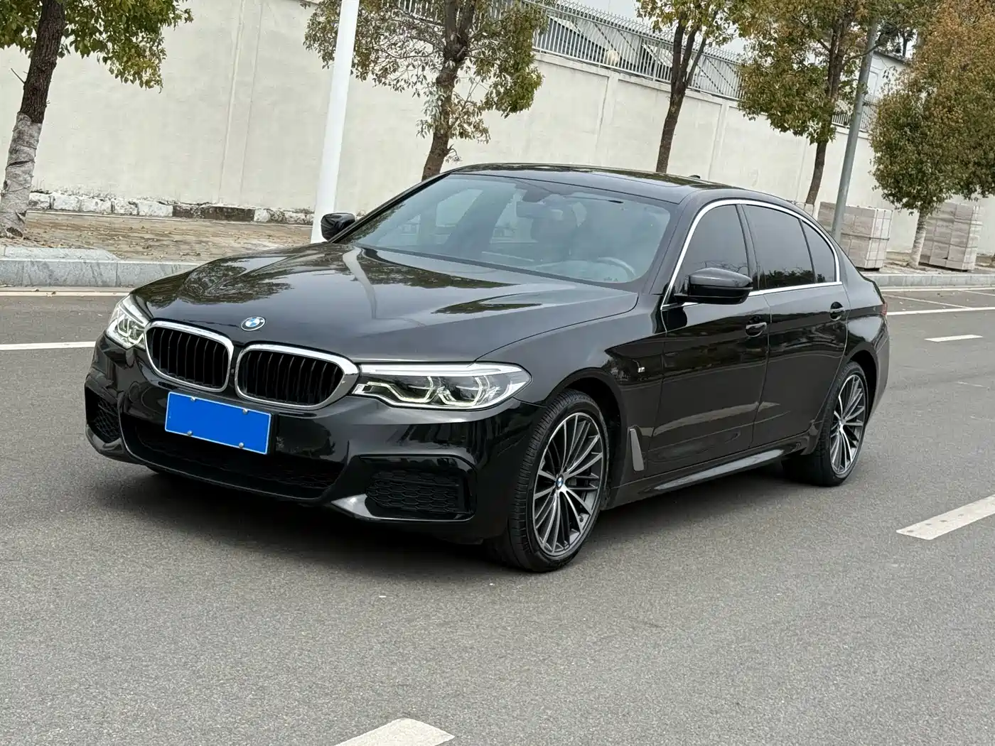 BMW 5 Series 2020 530Li Exclusive M Sport Package