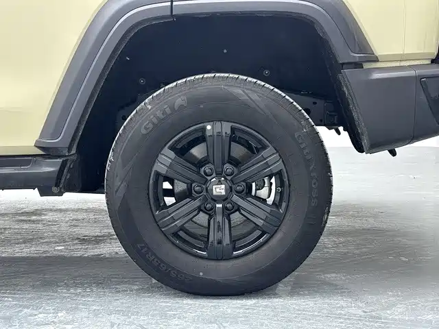 Tank 300 2025 2025 2.0T Challenger