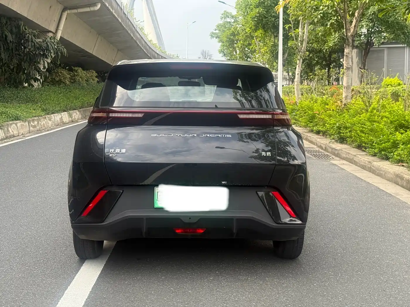 BYD Seagull 2024 Glory Edition 305km Vitality Edition фото 5