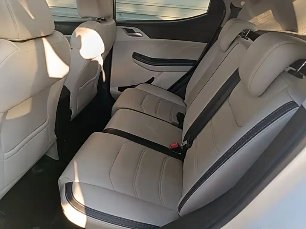 BYD Yuan Pro 2021 2021 401KM Premium Model