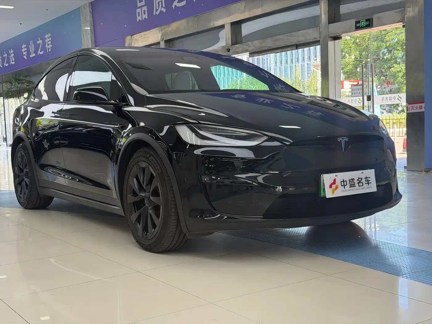 Tesla Model X 2023 Dual Motor All-Wheel Drive Edition фото 13