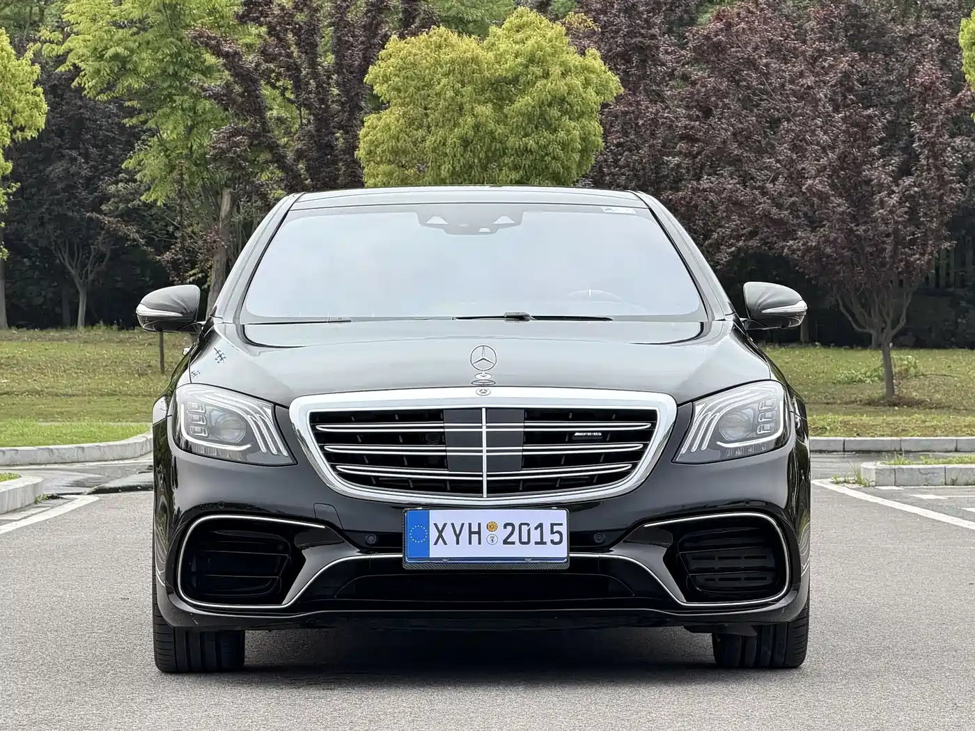 Mercedes-Benz S-Class AMG 2018 AMG S 63 L 4MATIC+ фото 2