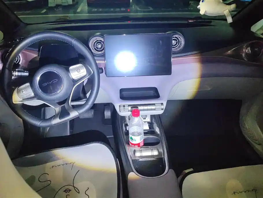 BYD Dolphin 2021 Model 405km Fashion Edition фото 12