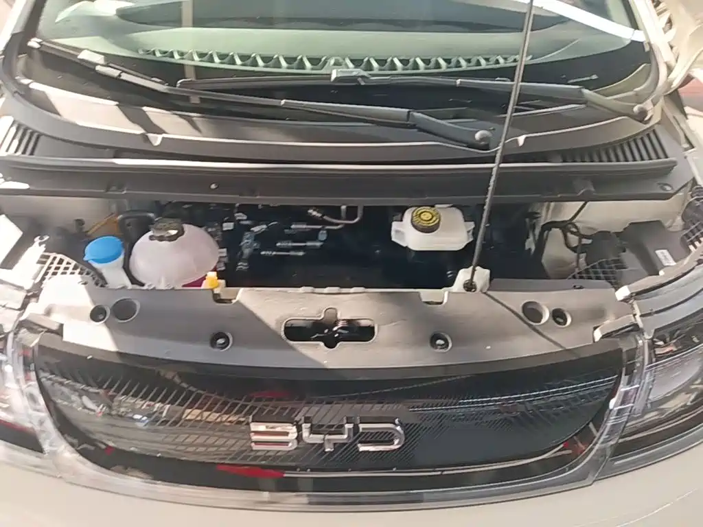 BYD Dolphin 2026 2025 420km Freedom Edition