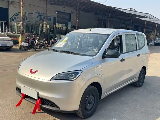 WULING WULING HONGGUANG NEW ENERGY
