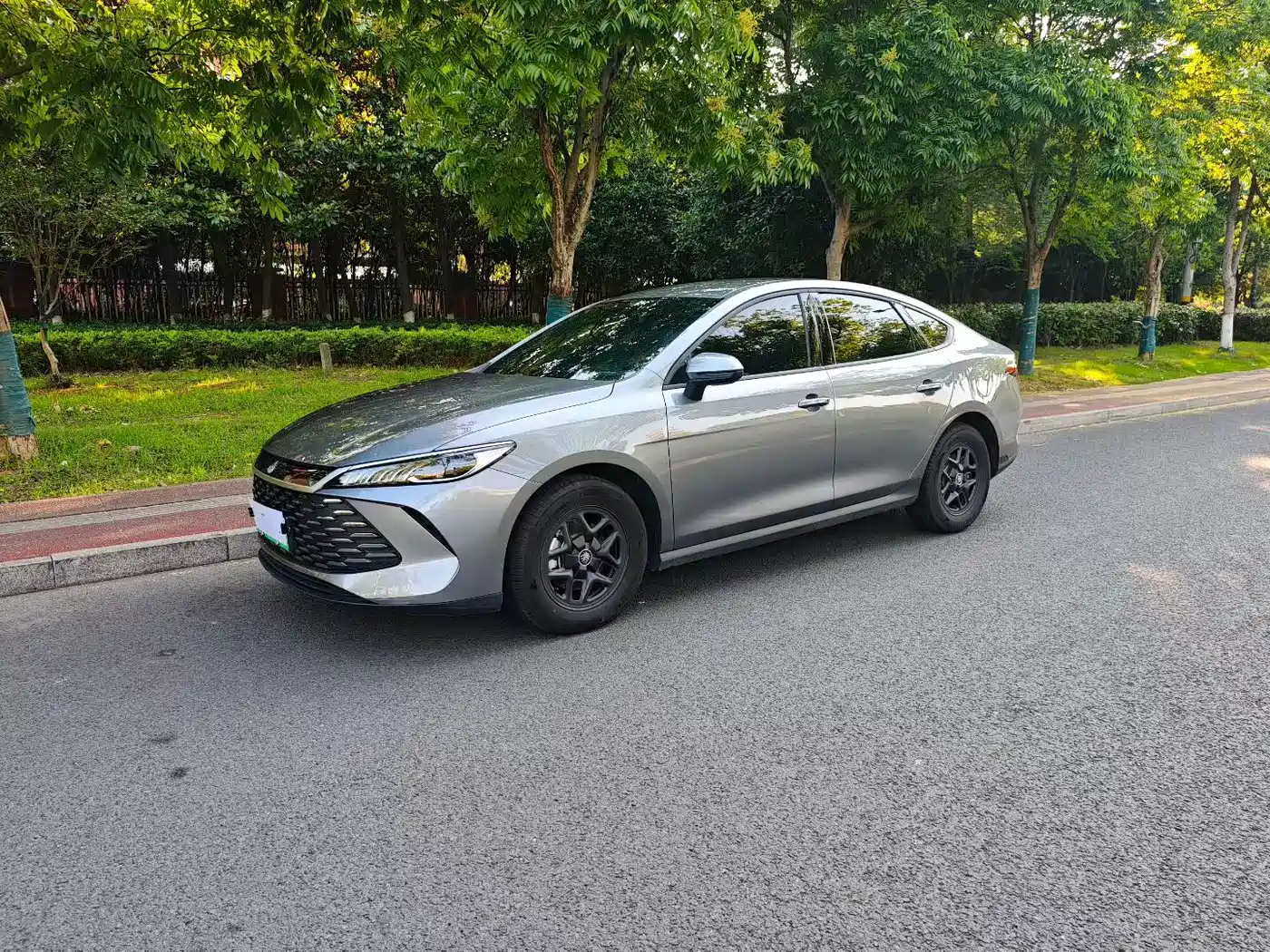BYD Qin PLUS 2025 DM-i Smart Drive 55KM Leader
