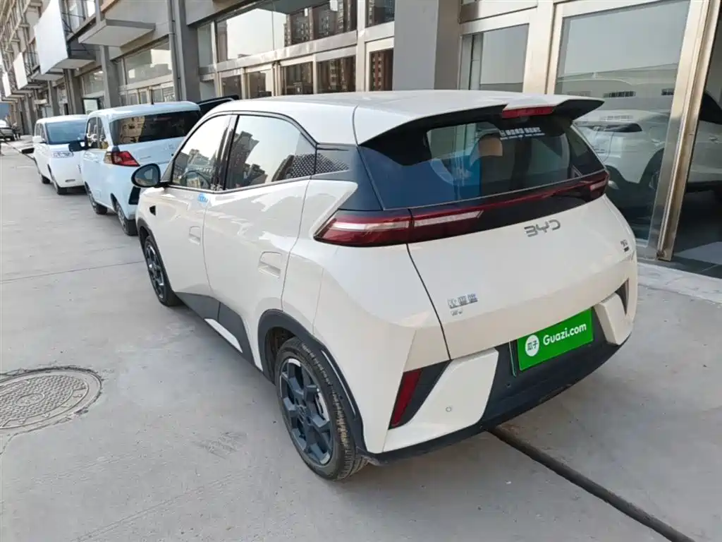 BYD Seagull 2025 Smart Drive Edition 305km Freedom Version фото 5