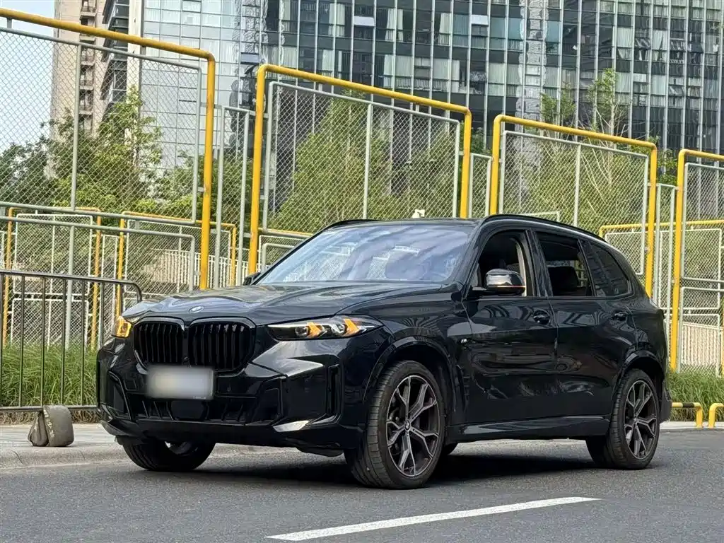 BMW X5 2023 xDrive 30Li Premium M Sport Package фото 2