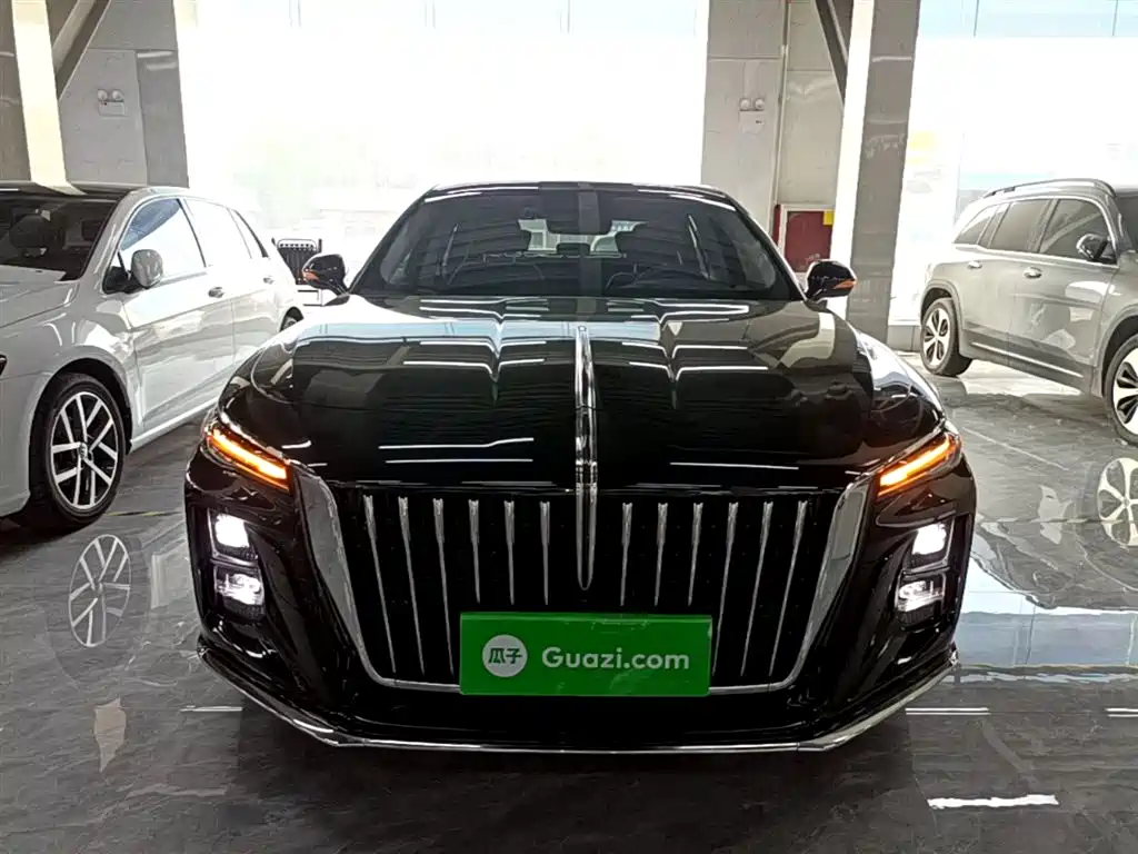 Hongqi H5 2023 2.0T Auto Smart Connect Flag Comfort фото 3