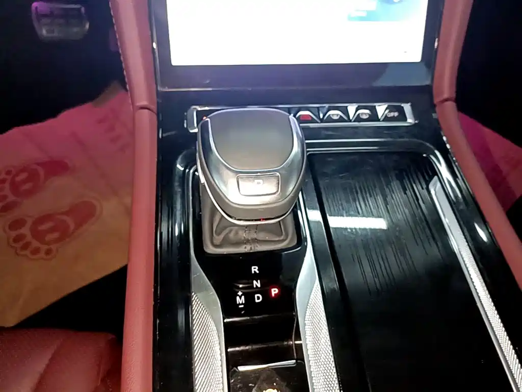 Hongqi H5 2023 2.0T Auto Smart Connect Flag Comfort фото 14