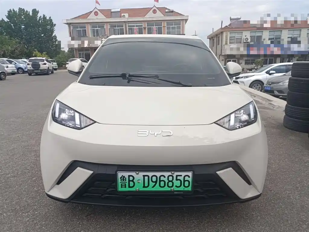 BYD Seagull 2024 Glory Edition 305km Freedom Edition фото 3