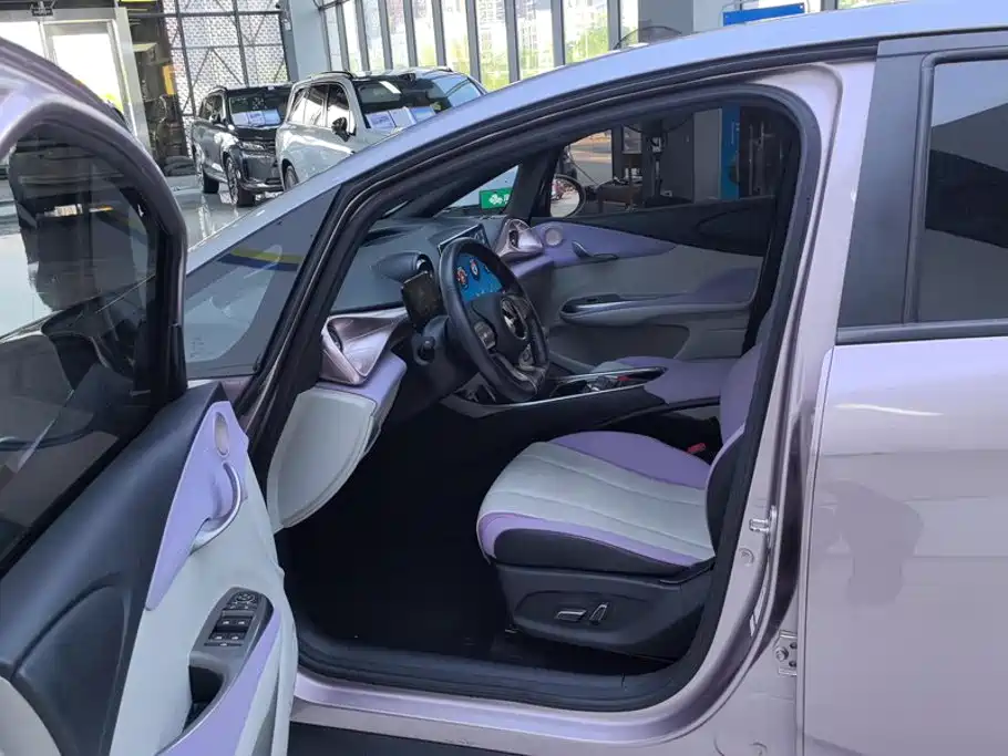 BYD Dolphin 2022 2021 Model 405km Fashion Edition