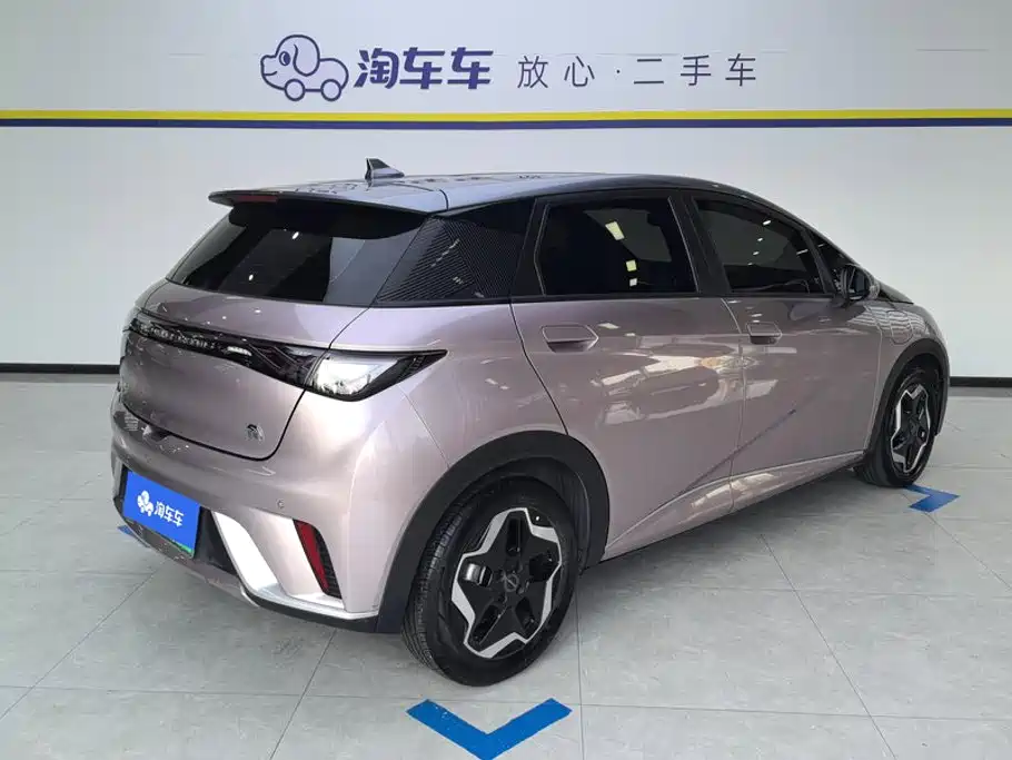 BYD Dolphin 2022 2021 Model 405km Fashion Edition