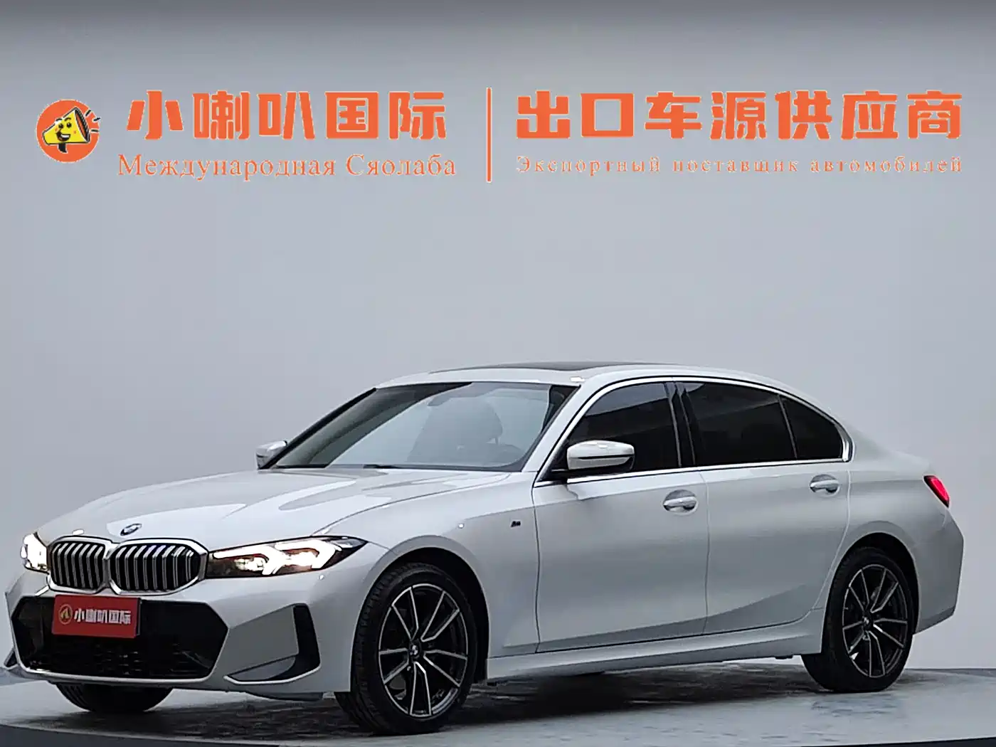 BMW 3 Series 2023 320Li M Sport Package
