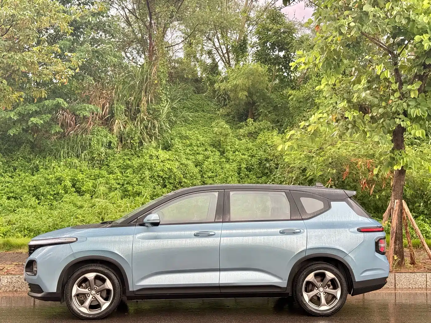 Baojun RM-5 2020 2019 1.5T CVT 24-hour Online Premium 6-seater