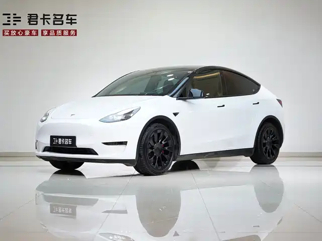 Tesla Model Y 2021 Standard Range Rear-Wheel Drive — фото 2