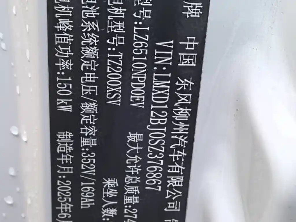 Dongfeng Fengxing Lingzhi New Energy 2025 2025 Model 410km Standard Edition Basic 9-seater