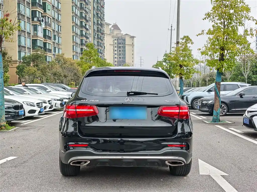 Mercedes-Benz GLC 2019 GLC 260 L 4MATIC Dynamic фото 15
