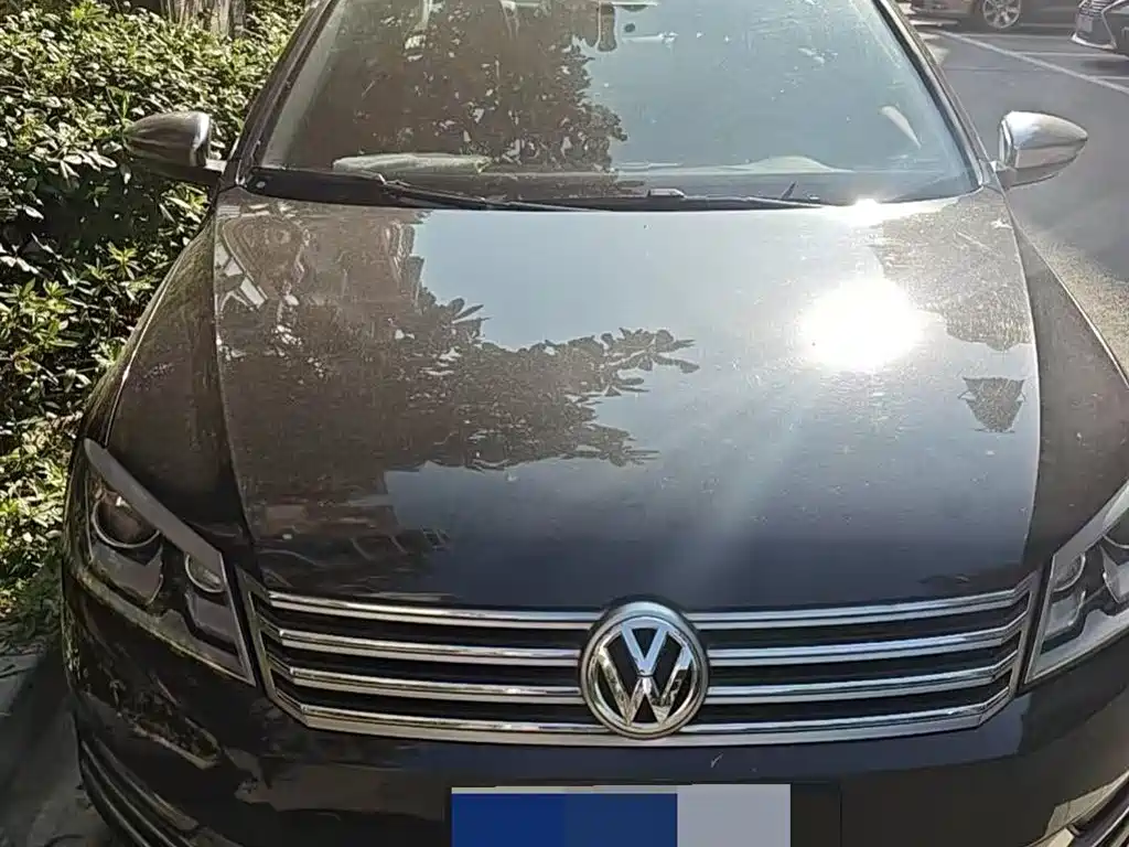 Volkswagen Magotan 2015 1.8TSI Luxury фото 2