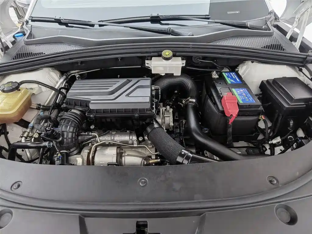 BYD Song PLUS 2020 1.5T Automatic Premium фото 6