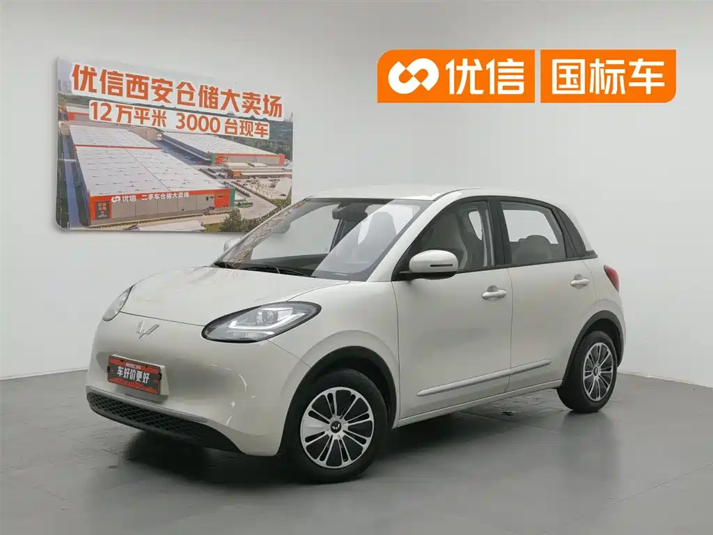 Wuling Motors Wuling Bingo 2023 Model 203km Lite Enjoyment Edition