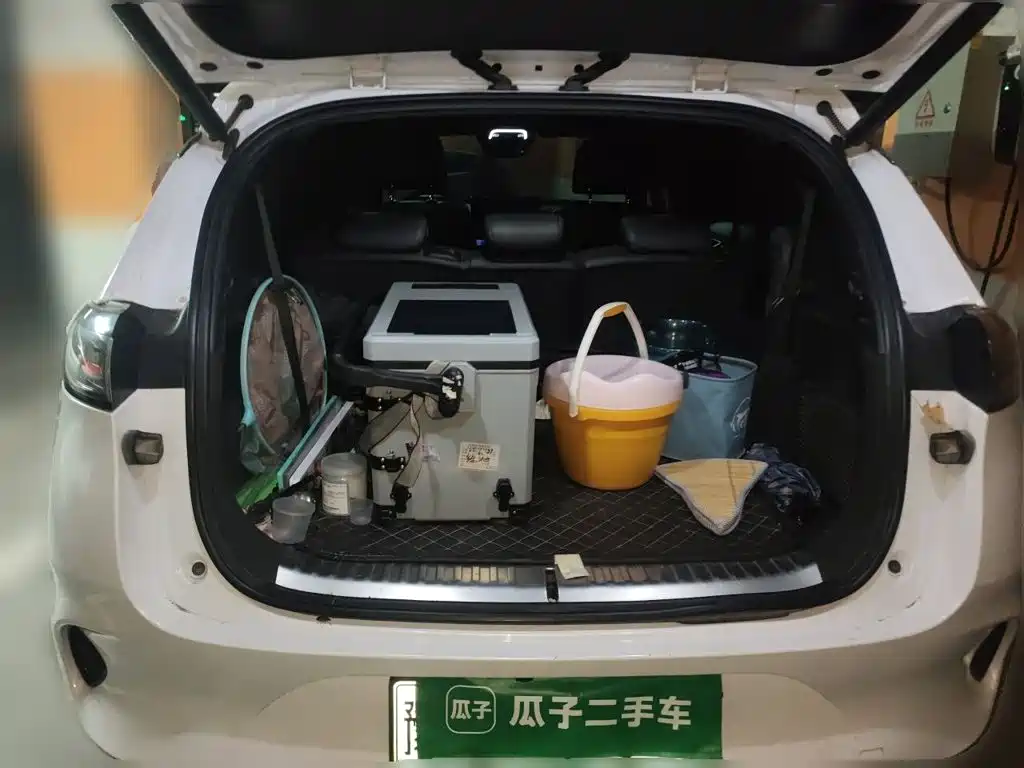 Denza X 2021 2020 Model PHEV Flagship Edition