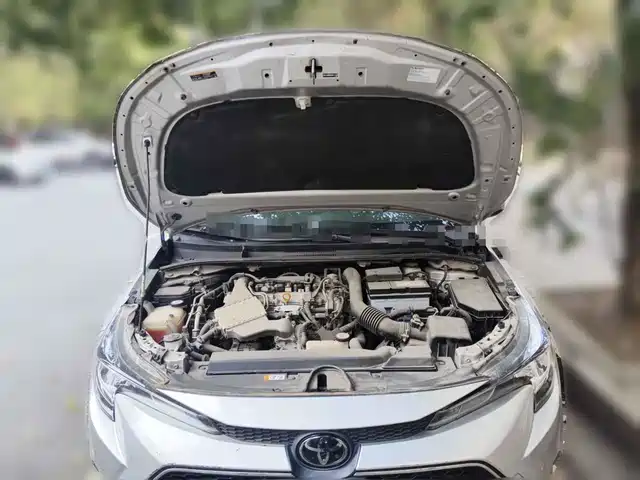 Toyota Levin 2019 185T CVT Luxury Edition China V — фото 3