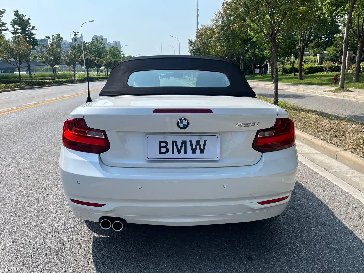 BMW 2 Series (Import) 2017 220i Convertible Coupe Leading фото 7