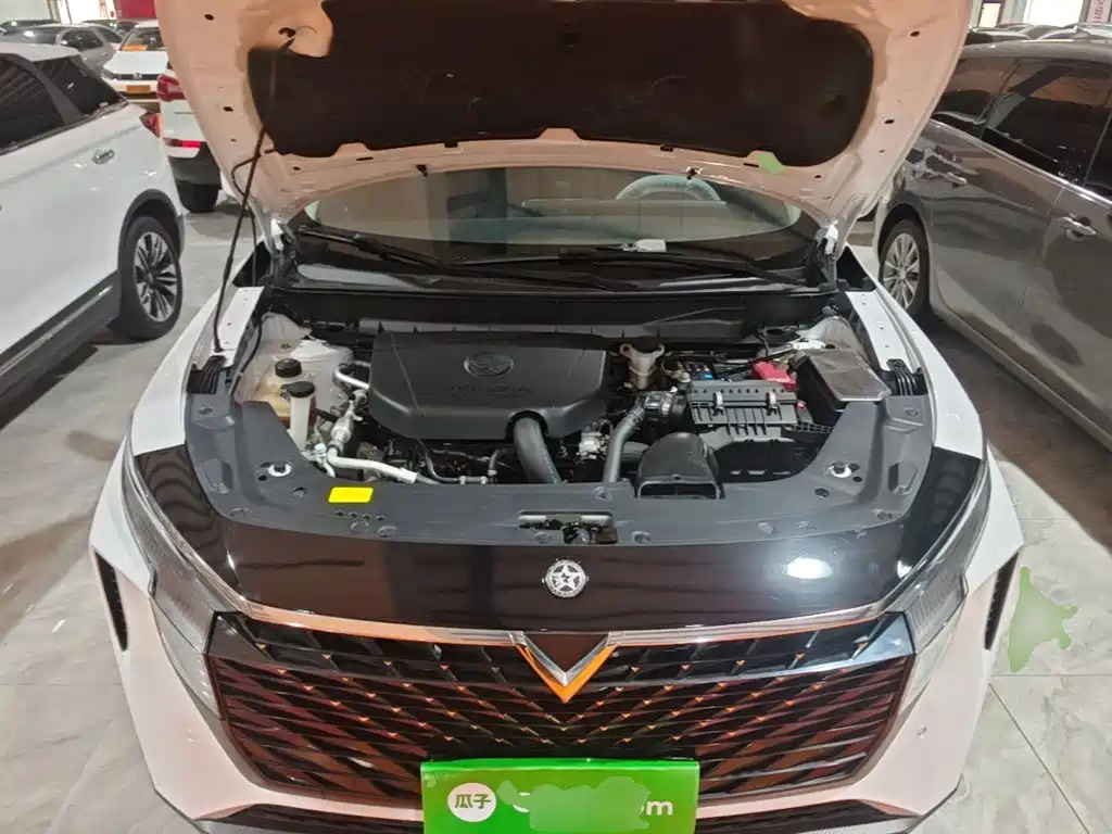 Venucia Big V 2022 2021 260T King Edition
