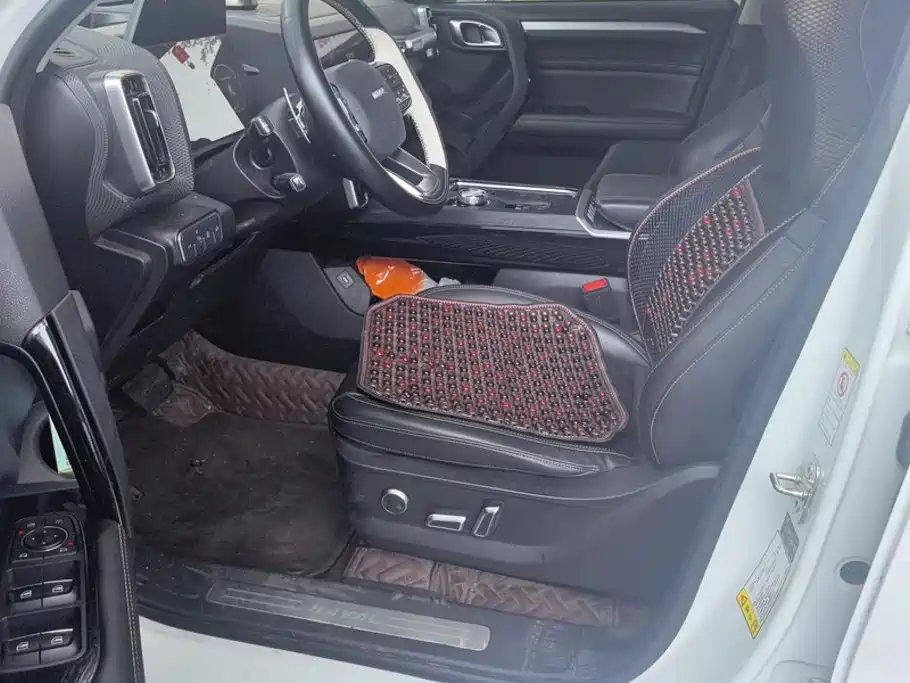 Haval Dargo 2021 2021 1.5T DCT 2WD Border Collie Edition