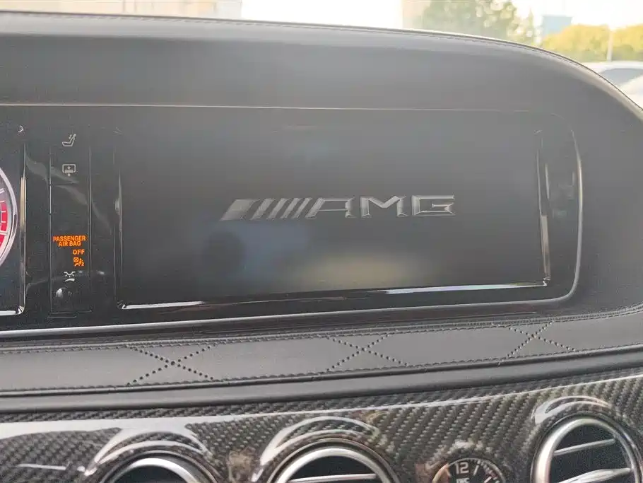 Mercedes-Benz S-Class AMG 2014 AMG S 65 L фото 13