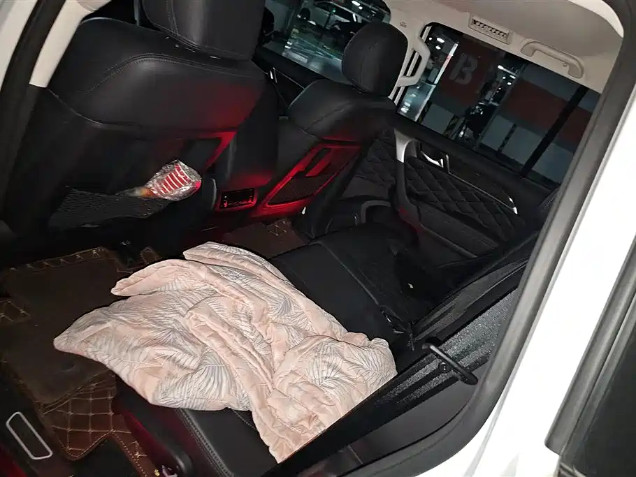 Haval H9 2022 2.0T Gasoline 4WD Comfort 7-Seater фото 11
