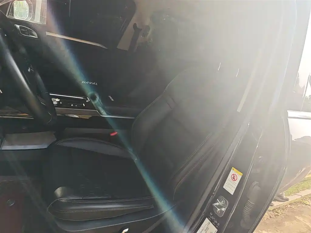 Haval Big Dog 2021 1.5T DCT 2WD Malinois Edition фото 11
