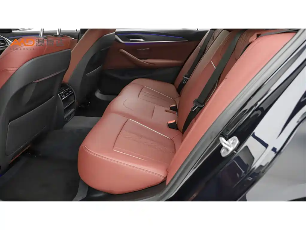 BMW 5 Series 2021 530Li xDrive M Sport Package фото 7