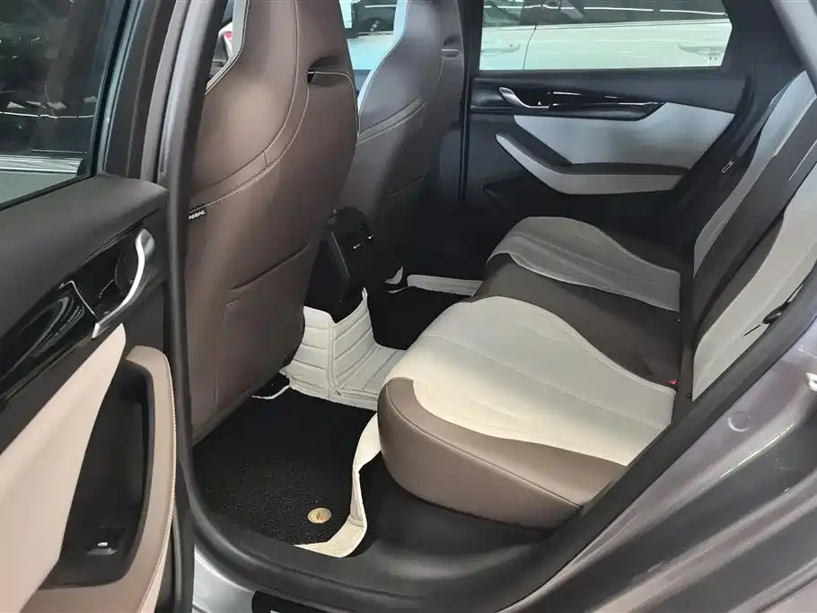 BYD Qin PLUS 2024 Glory Edition DM-i 55KM Leading фото 11