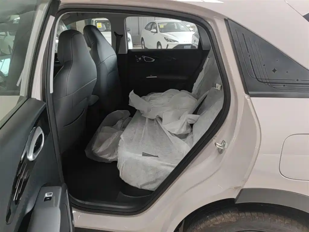 Geely Galaxy Starry Wish 2026 Edition 310km Youth Version фото 17