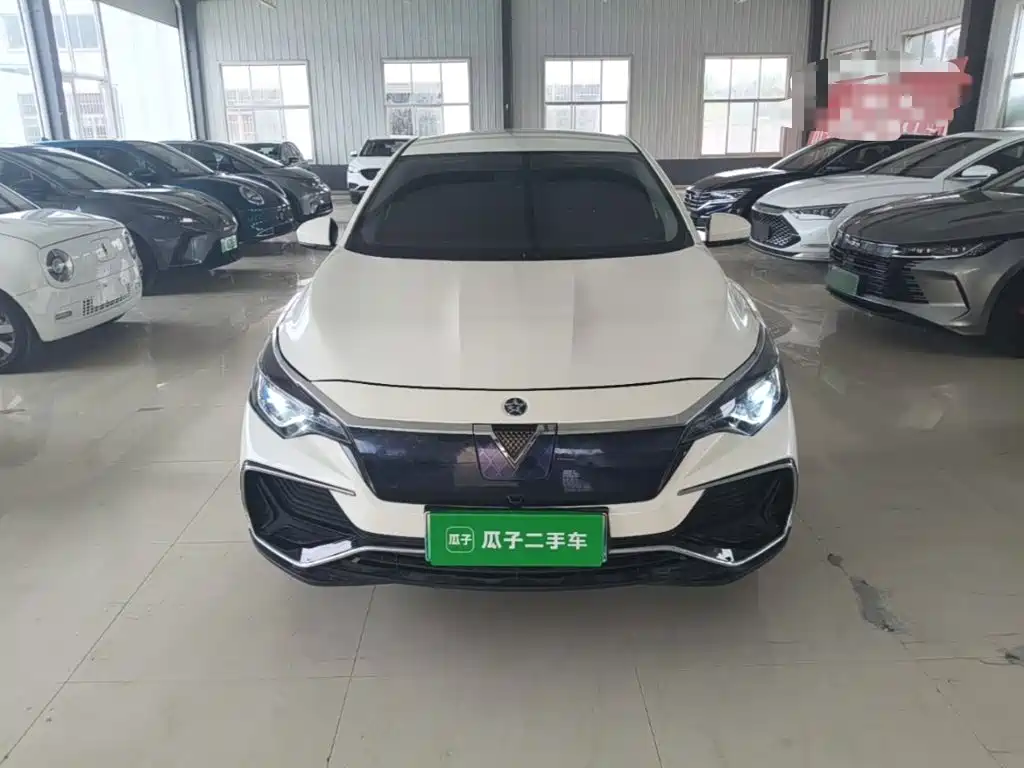 Venucia D60EV 2022 2020 Standard Range Smart Edition